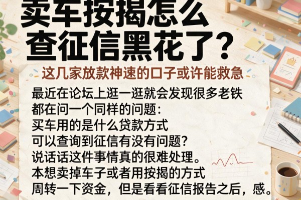 卖车按揭怎么查征信黑花了？这几家放款神速的口子或许能救急