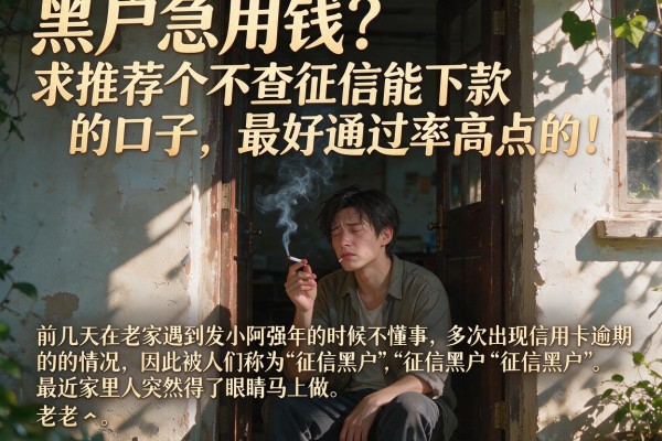 黑户急用钱？求推荐个不查征信能下款的口子，最好通过率高点的！