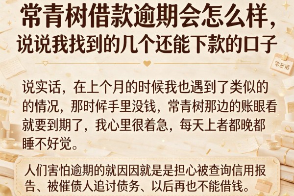 常青树借款逾期会怎么样，说说我找到的几个还能下款的口子