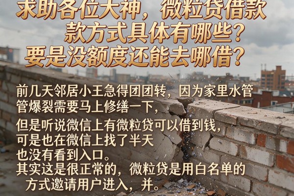 求助各位大神，微粒贷借款方式具体有哪些？要是没额度还能去哪借？