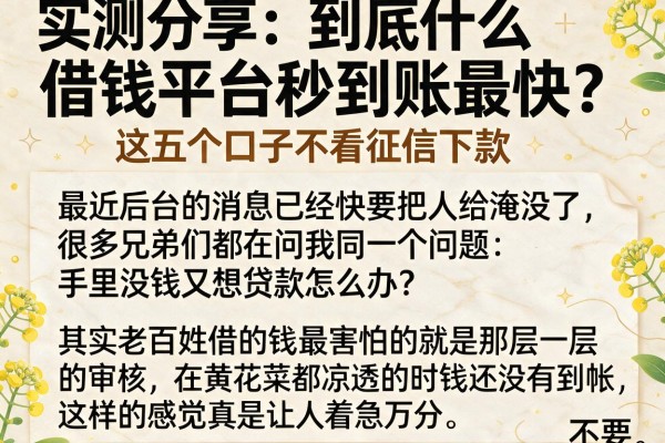 实测分享：到底什么借钱平台秒到账最快？这五个口子不看征信下款稳