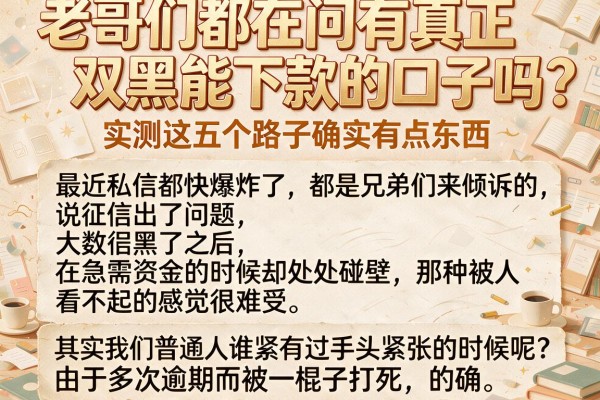 老哥们都在问有真正双黑能下款的口子吗，实测这五个路子确实有点东西
