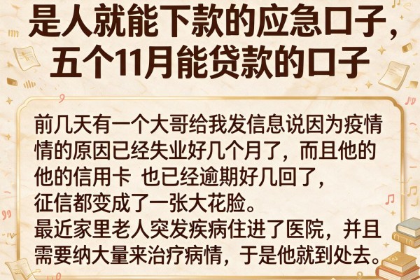 是人就能下款的应急口子，详细阐述五个11月能贷款的口子