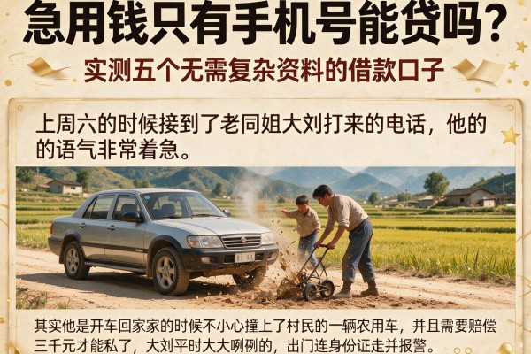 急用钱只有手机号能贷吗？实测五个无需复杂资料的借款口子