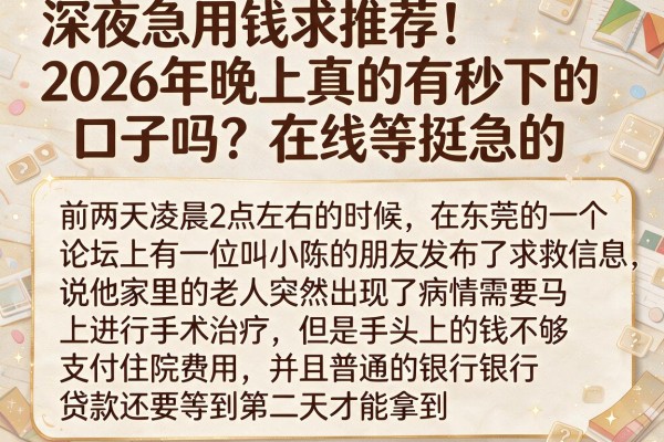 深夜急用钱求推荐！2026年晚上真的有秒下的口子吗？在线等挺急的