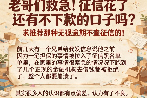 老哥们救急！征信花了还有不下款的口子吗？求推荐那种无视逾期不查征信的！