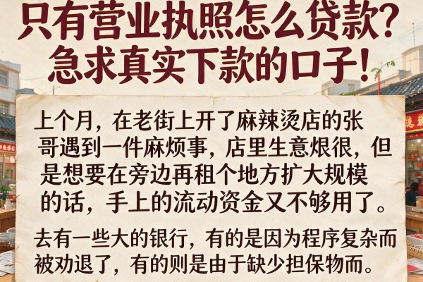 只有营业执照怎么贷款？急求真实下款的口子！