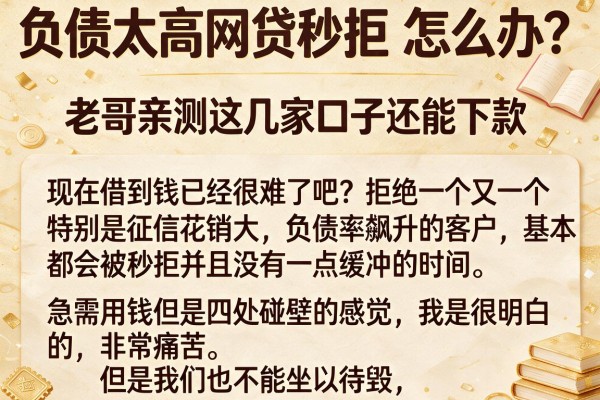 负债太高网贷秒拒怎么办？老哥亲测这几家口子还能下款