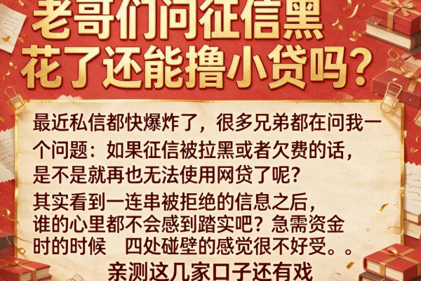 老哥们问征信黑花了还能撸小贷吗？亲测这几家口子还有戏