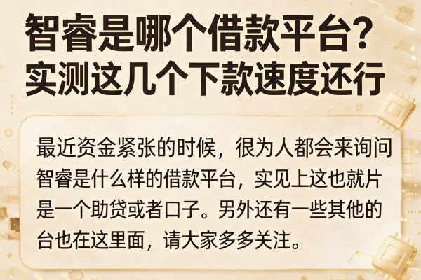 智睿是哪个借款平台?实测这几个下款速度还行