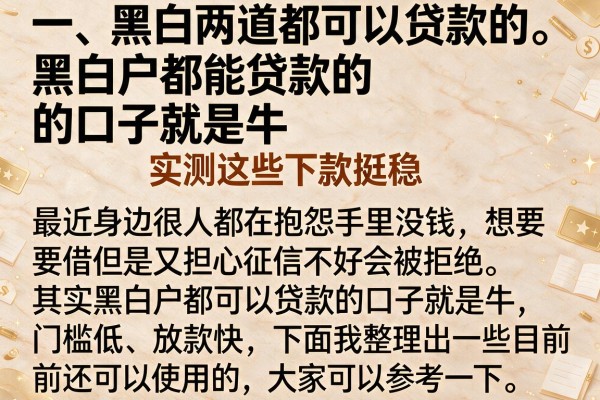 黑白户都能贷款的口子就是牛，实测这些下款挺稳