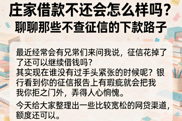 庄家借款不还会怎么样吗？聊聊那些不查征信的下款路子