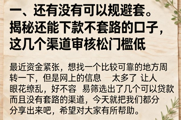 揭秘还能下款不套路的口子，这几个渠道审核松门槛低