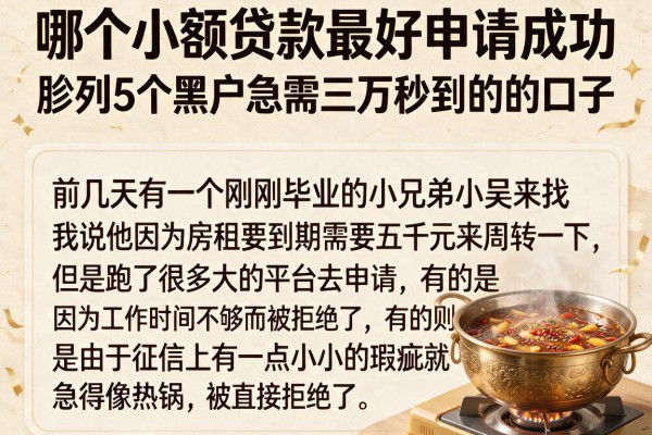 哪个小额贷款最好申请成功，胪列5个黑户急需三万秒到的的口子