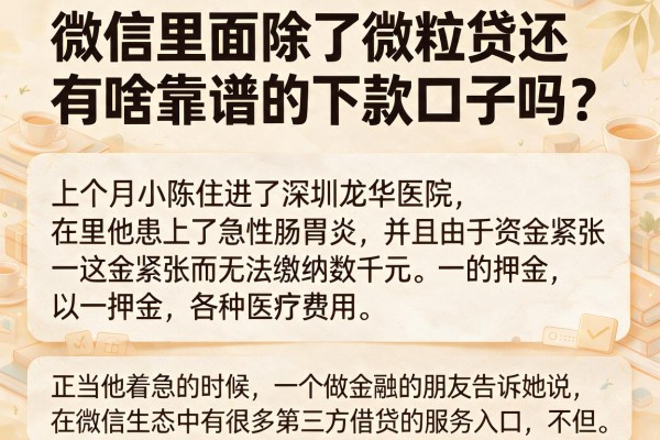 微信里面除了微粒贷还有啥靠谱的下款口子吗？