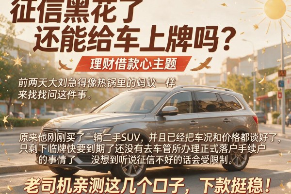 征信黑花了还能给车上牌吗？老司机亲测这几个口子，下款挺稳！