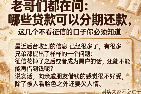 老哥们都在问哪些贷款可以分期还款，这几个不看征信的口子你必须知道