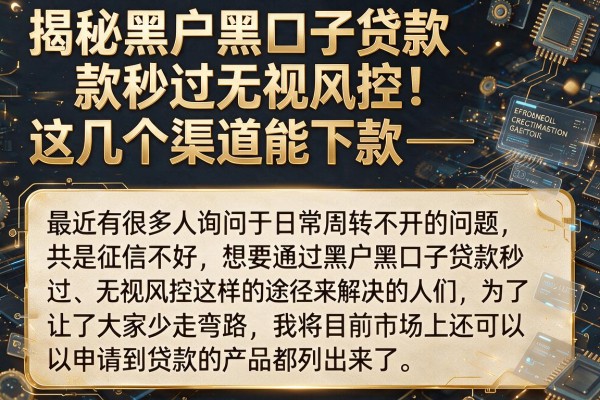 揭秘黑户黑口子贷款秒过无视风控，这几个渠道能下款