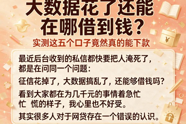 大数据花了还能在哪借到钱？实测这五个口子竟然真的能下款