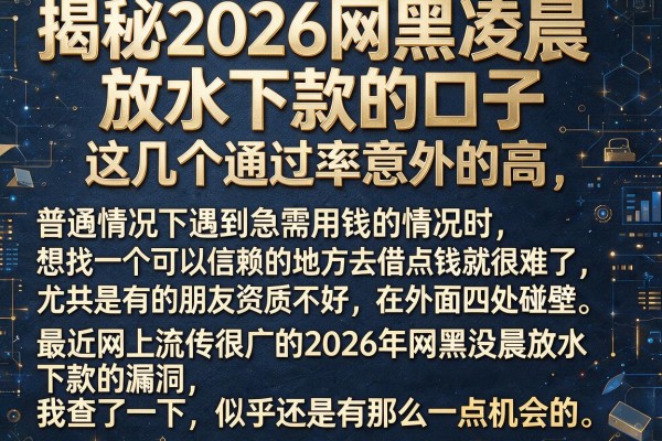 揭秘2026网黑凌晨放水下款的口子，这几个通过率意外的高