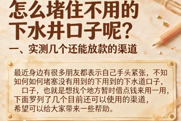 怎么堵住不用的下水井口子呢？实测几个还能放款的渠道
