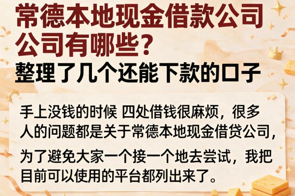 常德本地现金借款公司有哪些？整理了几个还能下款的口子