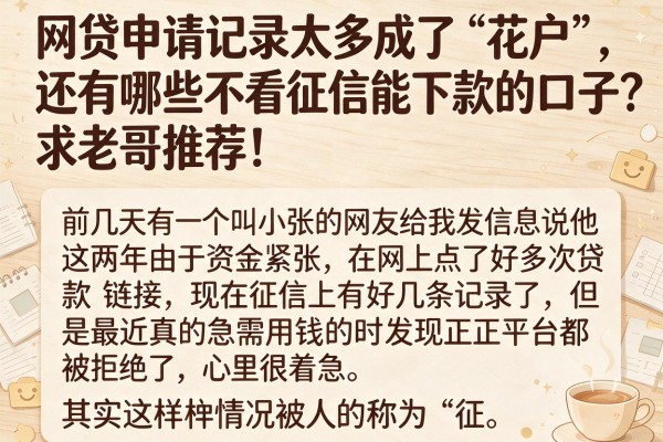 网贷申请记录太多成了“花户”，还有哪些不看征信能下款的口子？求老哥推荐！