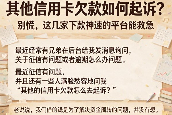 其他信用卡欠款如何起诉？别慌，这几家下款神速的平台能救急