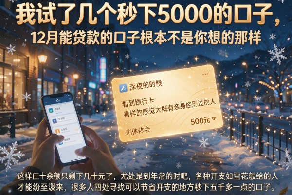 我试了几个秒下5000的口子,发现12月能贷款的口子根本不是你想的那样