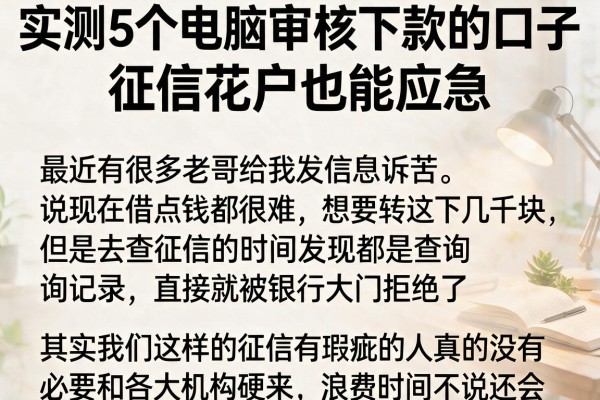 实测5个电脑审核下款的口子，征信花户也能应急