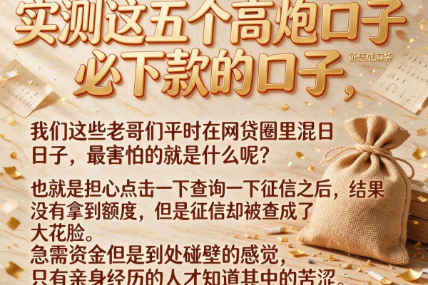 实测这五个高炮口子必下款的口子,征信花成麻袋也能下