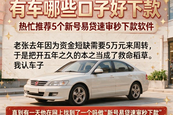 有车哪些口子好下款，热忱推荐5个新号易贷速审秒下款软件