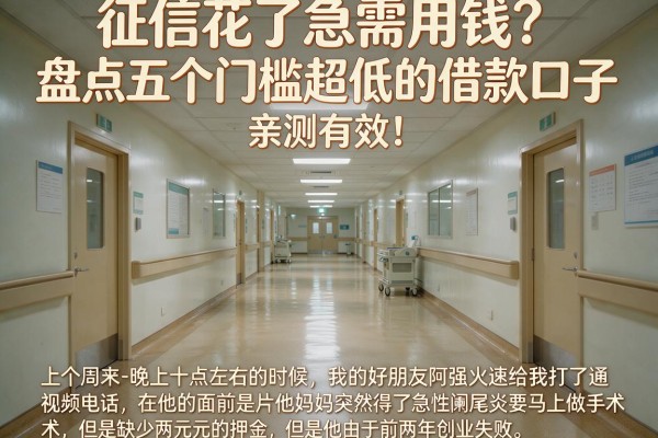 征信花了急需用钱?盘点五个门槛超低的借款口子,亲测有效!
