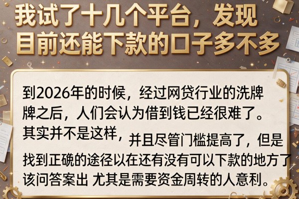 我试了十几个平台,发现目前还能下款的口子多不多,结果和我想的完全不一样