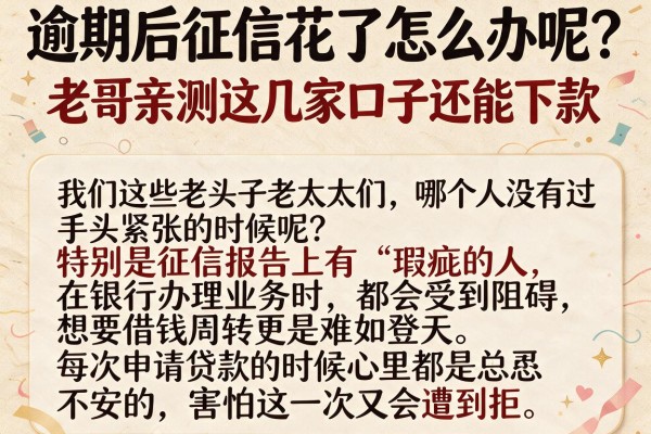 逾期后征信花了怎么办呢？老哥亲测这几家口子还能下款