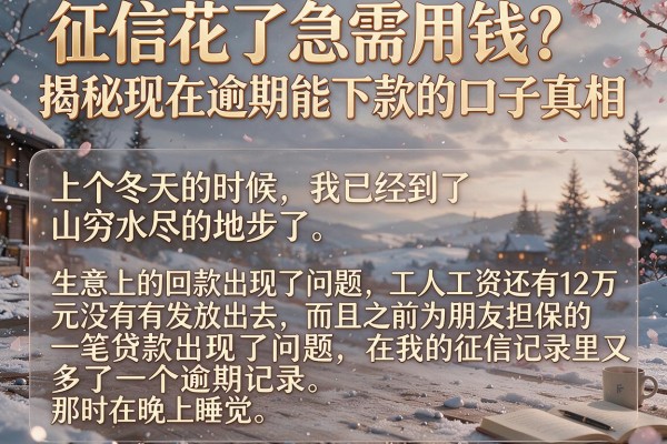 征信花了急需用钱？揭秘现在逾期能下款的口子真相