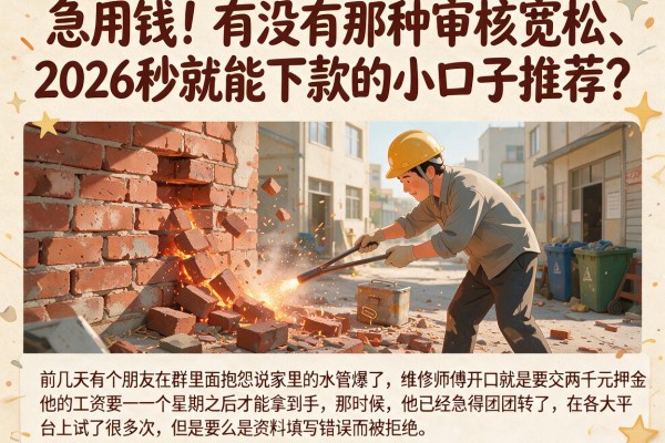 急用钱！有没有那种审核宽松、2026秒就能下款的小口子推荐？