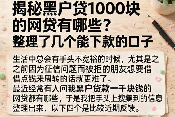 揭秘黑户贷1000块的网贷有哪些，整理了几个能下款的口子