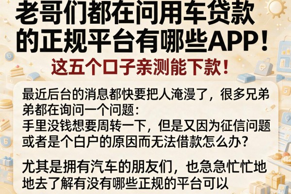 老哥们都在问用车贷款的正规平台有哪些APP，这五个口子亲测能下款