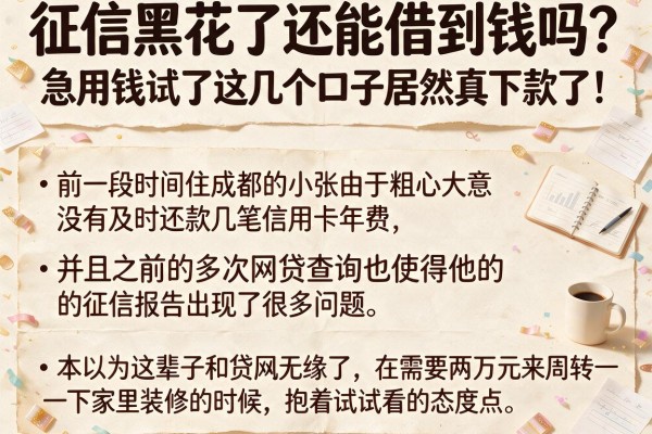 征信黑花了还能借到钱吗？急用钱试了这几个口子居然真下款了！