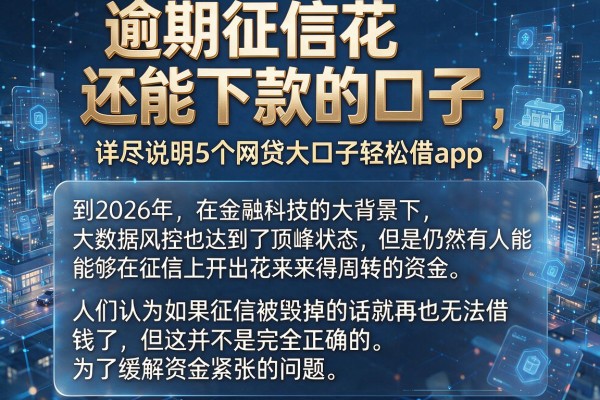 逾期征信花还能下款的口子，详尽说明5个网贷大口子轻松借app