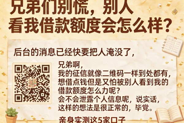 兄弟们别慌，别人看我借款额度会怎么样？亲身实测这5家口子