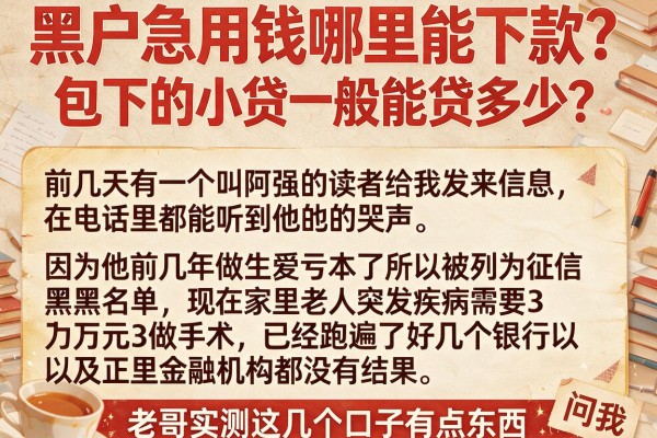 黑户急用钱哪里能下款？包下的小贷一般能贷多少？老哥实测这几个口子有点东西