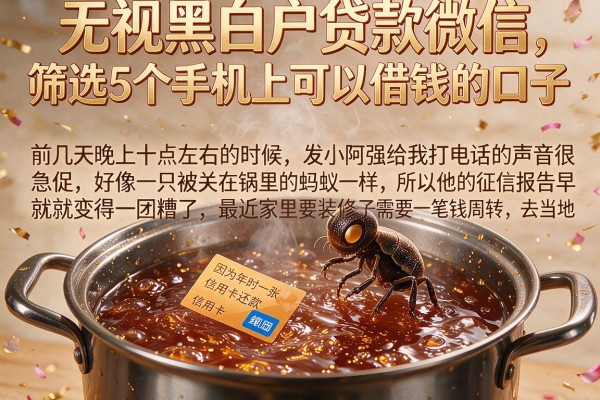 无视黑白户贷款微信，筛选5个手机上可以借钱的口子