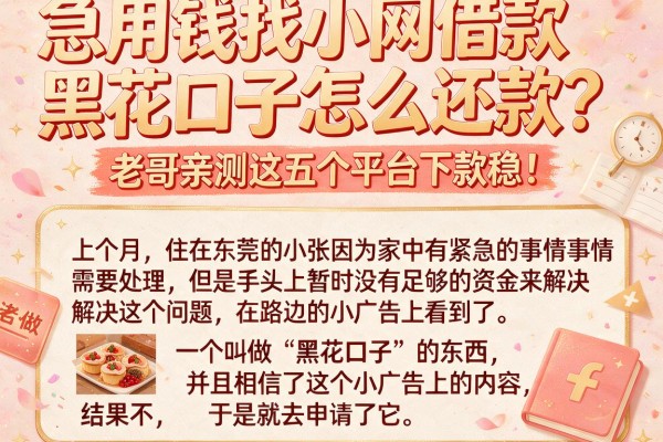 急用钱找小网借款黑花口子怎么还款？老哥亲测这五个平台下款稳！