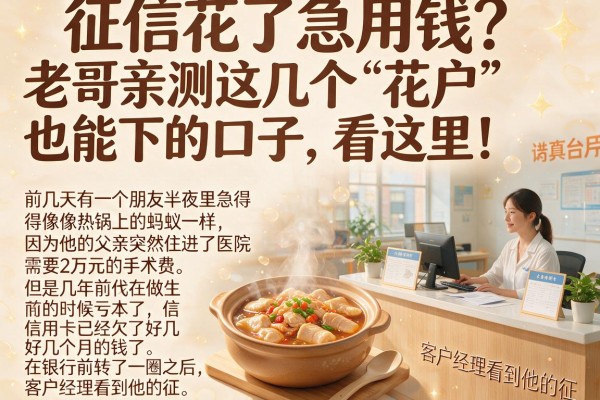 征信花了急用钱？老哥亲测这几个“花户”也能下的口子，看这里！