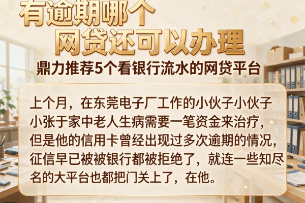 有逾期哪个网贷还可以办理,鼎力推荐5个看银行流水的网贷平台