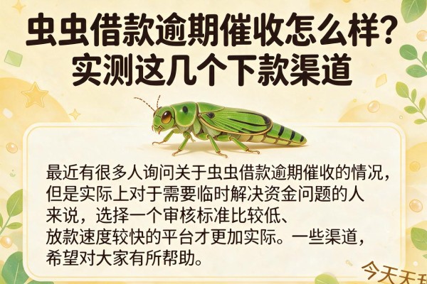 虫虫借款逾期催收怎么样？实测这几个下款渠道