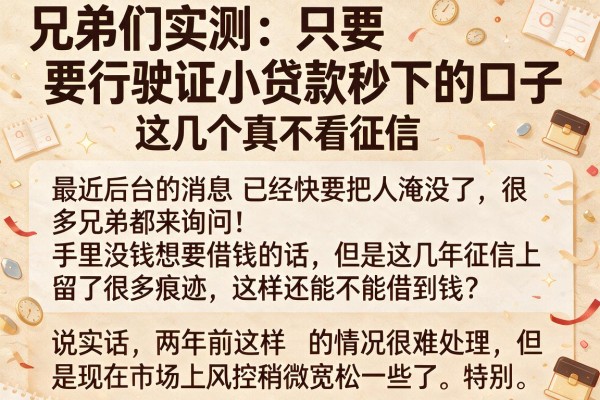 兄弟们实测：只要行驶证小贷款秒下的口子，这几个真不看征信