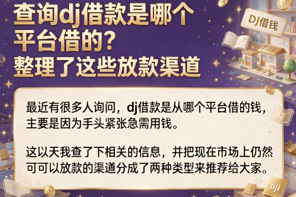 查询dj借款是哪个平台借的？整理了这些放款渠道